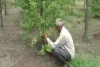 राजकोट: खेतों में ये लगाकर इस किसान ने सुरक्षित किया अपना भविष्य