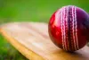 अमेरिका ने नहीं दिया वीजा तो नेपाली क्रिकेटर संदीप लामिछाने वेस्टइंडीज पहुंचे
