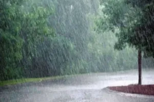 गुजरात में फिर सक्रिय हुआ मानसून, 10 से 14 जुलाई के बीच 17 जिलों में होगी बारिश