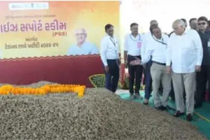 अहमदाबाद : मुख्यमंत्री ने राज्य में मूंगफली की रियायती मूल्य पर खरीद की शुरूआत की